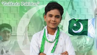 Guldasta Pakistan  National Song  Hamza Sharafat  Moiz Nadeem 14august independenceday [upl. by Wilson564]