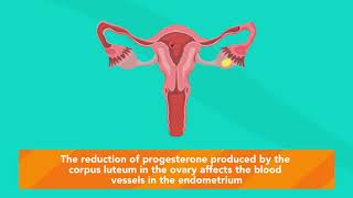 How does MIFEPRISTONE work [upl. by Yttig955]