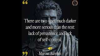 quotThere are two vices much darker and more seriousquot Marcus Aurelius quotes stoicism dailystoic [upl. by Forester755]