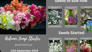 Grow A Long Live Update 18 September 2024 Clary Sage Nigella and Cynoglossum [upl. by Nwahsan]