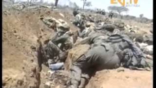 ኤርትራ Serawit Eritrea be Filtet  Halafinet  Meninetin Temokere [upl. by Ermey392]