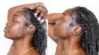 How to Wash 4c Hair Properly after braids [upl. by Hcra]