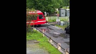 UN LOUP AU CŒUR DE CHAMONIX [upl. by Sunda]