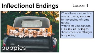 Inflected Endings s es ies  Lesson 1 [upl. by Einimod]