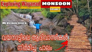 Exploring wayanad monsoon  EP5  forest trekking  adventure trekking hidden waterfalls in wayanad [upl. by Nnairol]