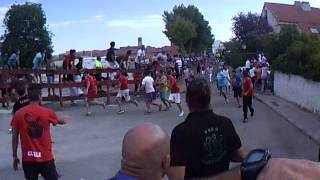 2º Encierro Fiestas de Loeches Madrid 1492014 [upl. by Mailliwnhoj]