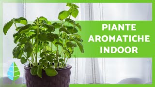 10 PIANTE AROMATICHE INDOOR 🌿 Usi e cure [upl. by Gale851]