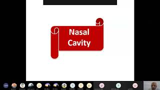 Anatomy of nose and paranasal sinuses [upl. by Artnoed76]