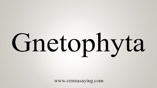 How To Say Gnetophyta [upl. by Ateerys589]