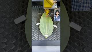 leaves production process laser engraving leaf engraving machine entrepreneurship [upl. by Sivolc]