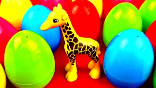 Zoo Wild Animals Surprise Eggs Panda Lion King Cub Rhino Monkey Camel Tiger Leopard Toys FluffyJet [upl. by Nuriel]