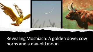 Revealing Moshiach A Golden Dove Cow Horns and a Day Old Moon [upl. by Gnol]