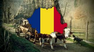 quotCarul cu boiquot  romanian folk traditionalist song [upl. by Buke]