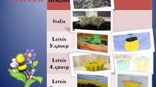 Plant calendar [upl. by Ramin]