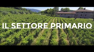 Il settore primario  Istruzione [upl. by Kalbli]