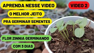 Tratamiento con plantas medicinales  Cómo hacer la infusión dosis y duración de un tratamiento [upl. by Tyler]