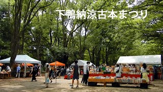 下鴨納涼古本まつり（2021年8月11日 京都市左京区・下鴨神社糺の森） [upl. by Llenaj]