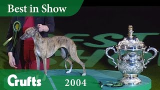 Whippet wins Best in Show at Crufts 2004  Crufts Dog Show [upl. by Loggins]