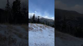 Coyote Tracks at 10000 Feet  Westcliffe CO [upl. by Cerallua]