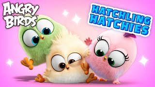 Angry Birds Hatchling Hatchies  Love and Compassion 💖🥰 [upl. by Astiram]