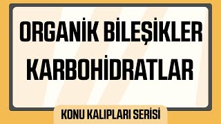 Organik Bileşikler  Karbohidratlar Konu Kalıpları Serisi [upl. by Hedve]