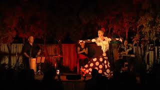 Flamenco under the stars  Busselton Fringe [upl. by Artema]