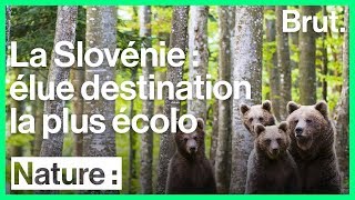 La Slovénie destination touristique la plus écolo [upl. by Enomor624]