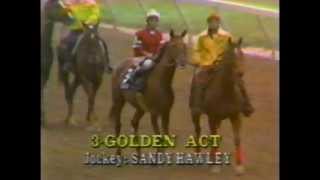 1979 Preakness Stakes  Spectacular Bid [upl. by Grantland676]