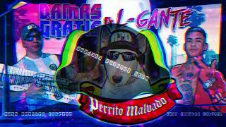 DAMAS GRATIS  PERRITO MALVADO Ft LGANTE amp MARITA  BASS BOOSTED [upl. by Alyak604]