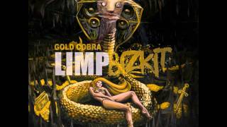 Limp Bizkit  Douche Bag Gold Cobra 2011 HDHQ [upl. by Hajan]