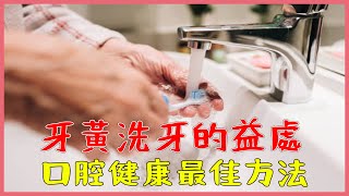 《牙黃洗牙的益處與頻率：維護口腔健康的最佳方法》 [upl. by Poirer451]