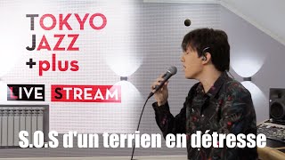 Dimash  SOS Dun Terrien En Détresse  Tokyo Jazz Festival 2020 [upl. by Roshelle231]