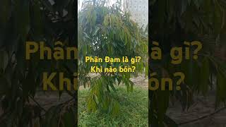 💯Hướng dẫn sử dựng phân bón hợp lý Lh 0948469054📌 [upl. by Odlaner]