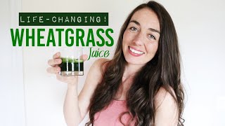 Wheat grass juice Personal benefits  Life Changing [upl. by Fleisher948]