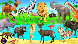 Animals  Lion Leopard Cheetah Elephant Zebra Giraffe Rhino Buffalo Camel 13 [upl. by Oisor]