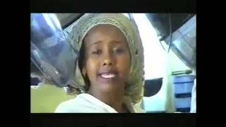 Ethiopian Music׃Manalemosh Dibo kalatu kalitechegeru ማናለሙሽ ዲቦ ካላጡ ካልተቸገሩ lyrics [upl. by Nnoj31]