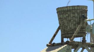 The Tipping Bucket  At Shipwreck Island Waterpark [upl. by Ferree]