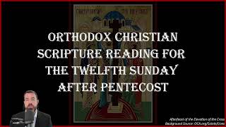 Twelfth Sunday After Pentecost Matt 281620 Gal 21620 amp Mark 83438 91  September 15 2024 [upl. by Calle]