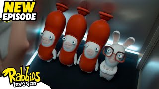 Rabbid elit S04E06  RABBIDS INVASION  New episodes  Cartoon for Kids [upl. by Aimej617]