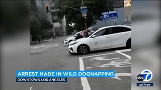 Arrest made in SoCal dognapping that left owner clinging to car [upl. by Nelyag]