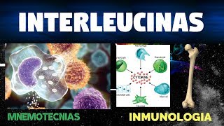 Mnemotecnias  Interleucinas 110  Inmunología [upl. by Paten]