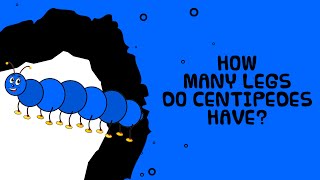 How Many Legs Do Centipedes Have  Interesting Facts For Kids  Kids video show [upl. by Bogie]