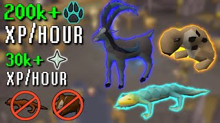 NEW Hunter Rumour Guide Blocklists Equipment 20 rumours and 200k xph [upl. by Assylem]