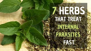 7 Herbs That Treat Internal Parasites Fast  Healthy Living Tips [upl. by Lotsirb]