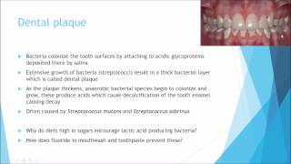 Microbiology  Microflora [upl. by Yrokcaz975]