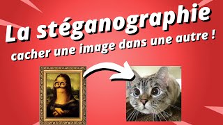 La Stéganographie  comment cacher des données dans une image  Grand Oral du Bac [upl. by Llenaej]