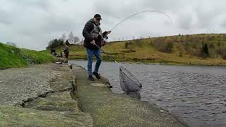 231 Flies That Catch Rod Bending Trout  Fly Fishing UK [upl. by Karen]