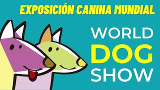 World Dog Show Madrid 2022 [upl. by Gwenny]