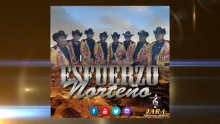 Esfuerzo Norteño Amor de la Vida Alegre Audio en Vivo [upl. by Emmons23]