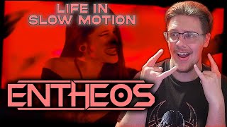 Entheos  Life in Slow Motion music reaction and review [upl. by Noteloc312]